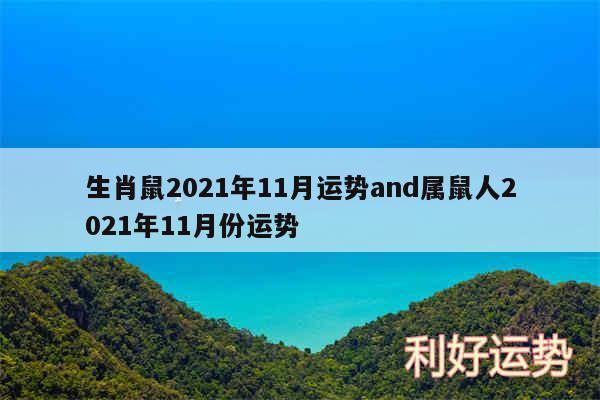 生肖鼠2024年11月运势and属鼠人2024年11月份运势