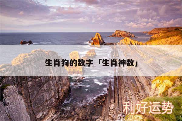 生肖狗的数字及生肖神数