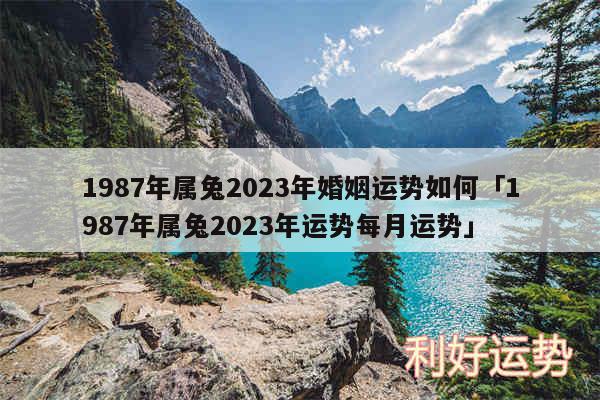 1987年属兔2024年婚姻运势如何及1987年属兔2024年运势每月运势