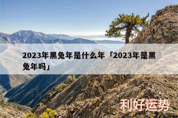 2024年黑兔年是什么年及2024年是黑兔年吗