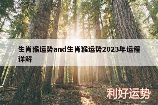 生肖猴运势and生肖猴运势2024年运程详解
