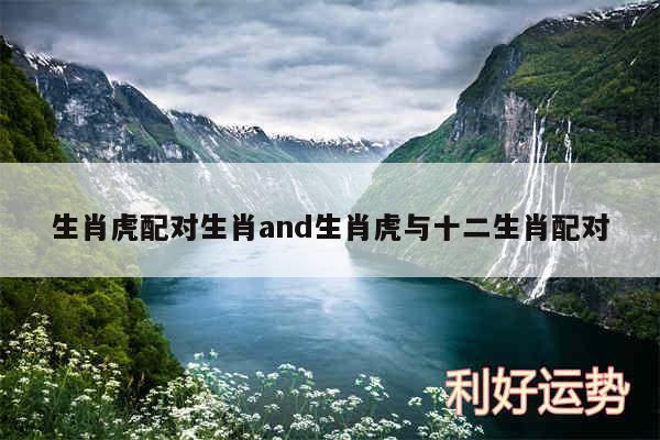 生肖虎配对生肖and生肖虎与十二生肖配对