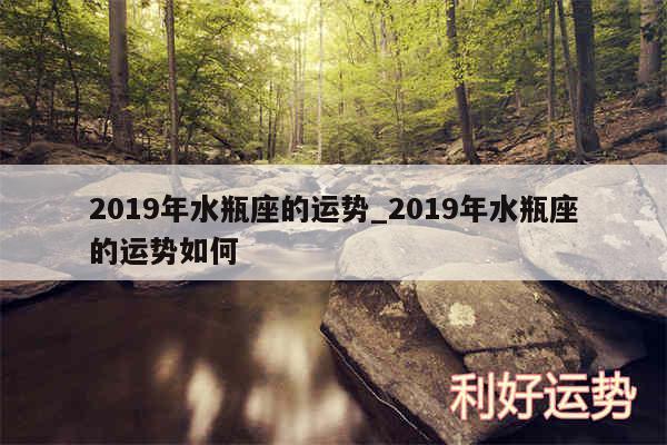 2019年水瓶座的运势_2019年水瓶座的运势如何