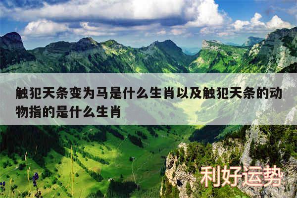 触犯天条变为马是什么生肖以及触犯天条的动物指的是什么生肖