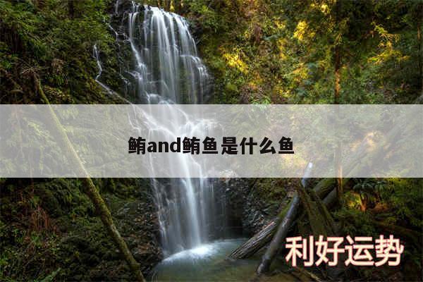 鲔and鲔鱼是什么鱼