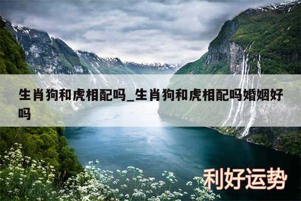 生肖狗和虎相配吗_生肖狗和虎相配吗婚姻好吗