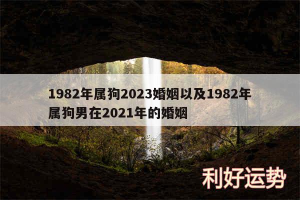 1982年属狗2024婚姻以及1982年属狗男在2024年的婚姻