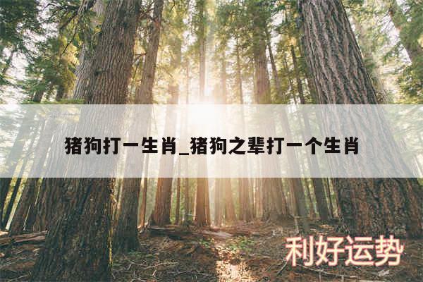 猪狗打一生肖_猪狗之辈打一个生肖