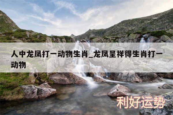 人中龙凤打一动物生肖_龙凤呈祥得生肖打一动物