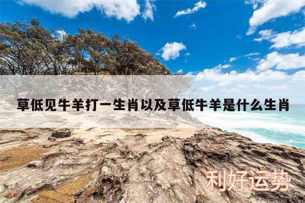 草低见牛羊打一生肖以及草低牛羊是什么生肖
