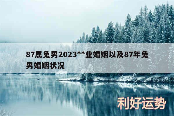 87属兔男2024**业婚姻以及87年兔男婚姻状况