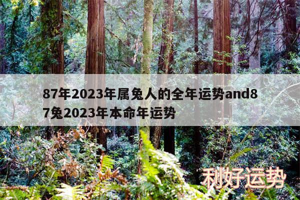 87年2024年属兔人的全年运势and87兔2024年本命年运势