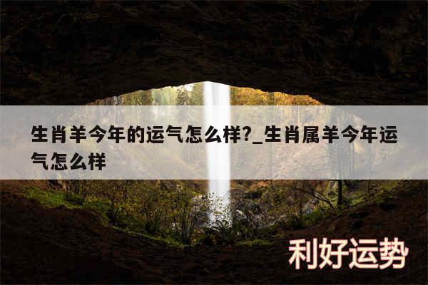 生肖羊今年的运气怎么样?_生肖属羊今年运气怎么样