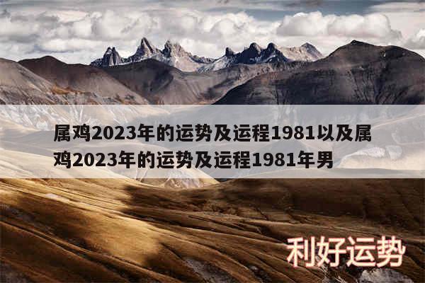 属鸡2024年的运势及运程1981以及属鸡2024年的运势及运程1981年男