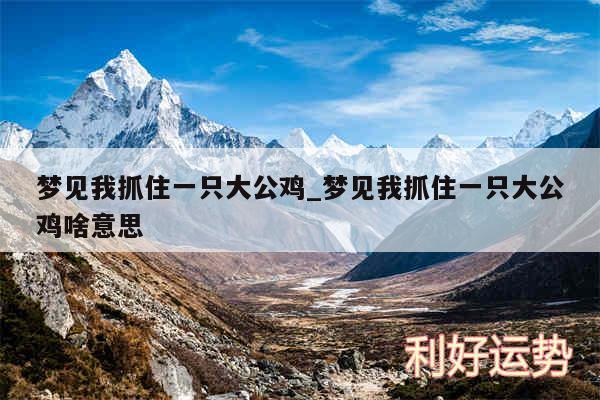 梦见我抓住一只大公鸡_梦见我抓住一只大公鸡啥意思