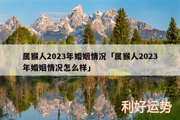 属猴人2024年婚姻情况及属猴人2024年婚姻情况怎么样