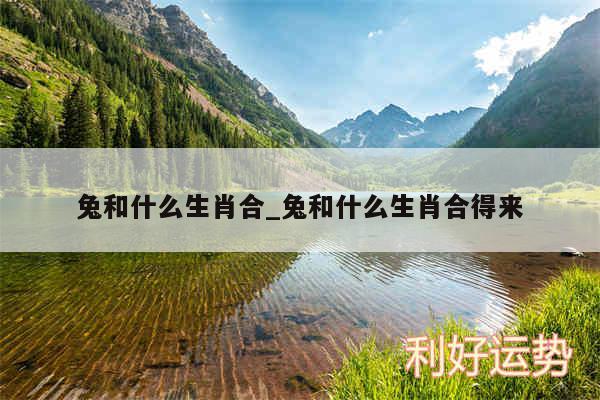 兔和什么生肖合_兔和什么生肖合得来