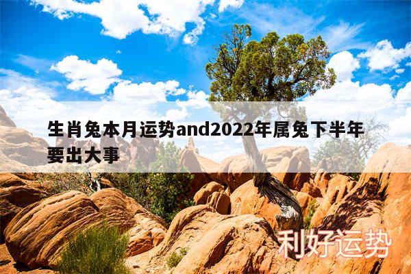 生肖兔本月运势and2024年属兔下半年要出大事