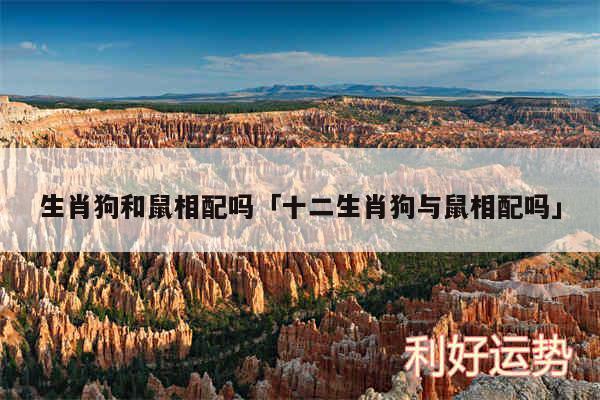 生肖狗和鼠相配吗及十二生肖狗与鼠相配吗
