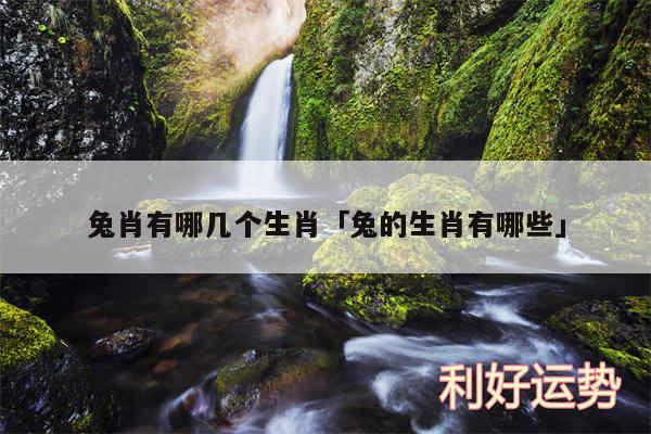 兔肖有哪几个生肖及兔的生肖有哪些