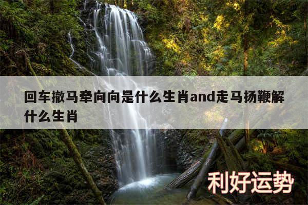 回车撤马牵向向是什么生肖and走马扬鞭解什么生肖