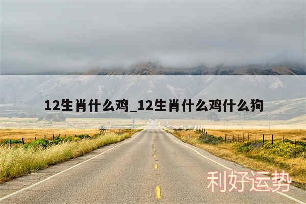 12生肖什么鸡_12生肖什么鸡什么狗