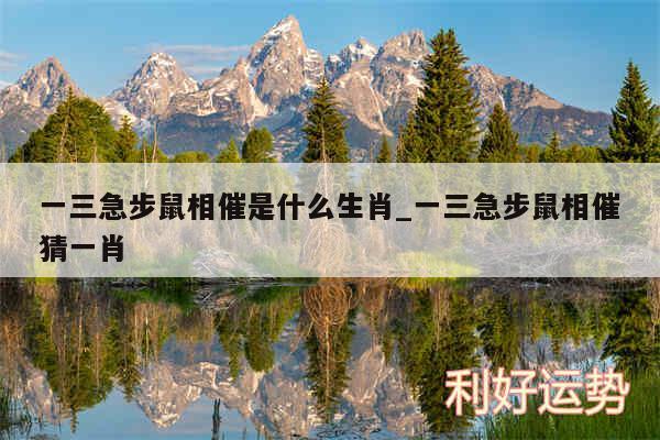 一三急步鼠相催是什么生肖_一三急步鼠相催猜一肖