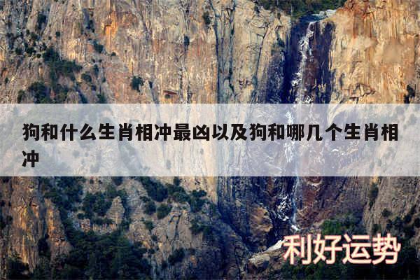 狗和什么生肖相冲最凶以及狗和哪几个生肖相冲