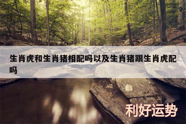 生肖虎和生肖猪相配吗以及生肖猪跟生肖虎配吗