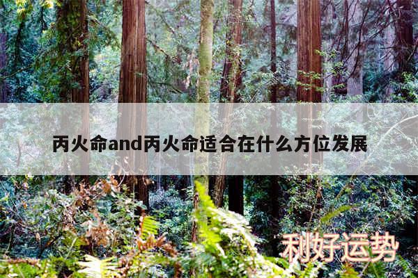 丙火命and丙火命适合在什么方位发展