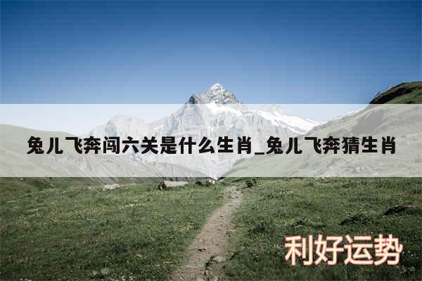 兔儿飞奔闯六关是什么生肖_兔儿飞奔猜生肖