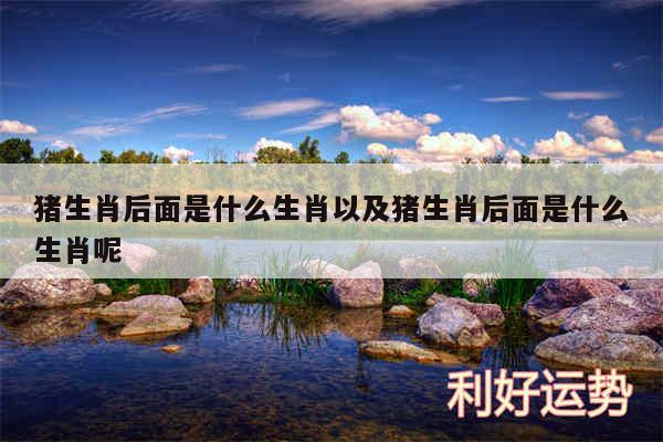 猪生肖后面是什么生肖以及猪生肖后面是什么生肖呢