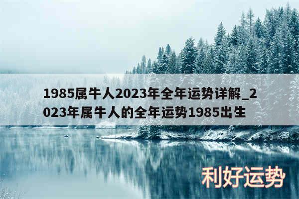 1985属牛人2024年全年运势详解_2024年属牛人的全年运势1985出生