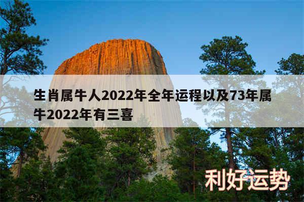 生肖属牛人2024年全年运程以及73年属牛2024年有三喜