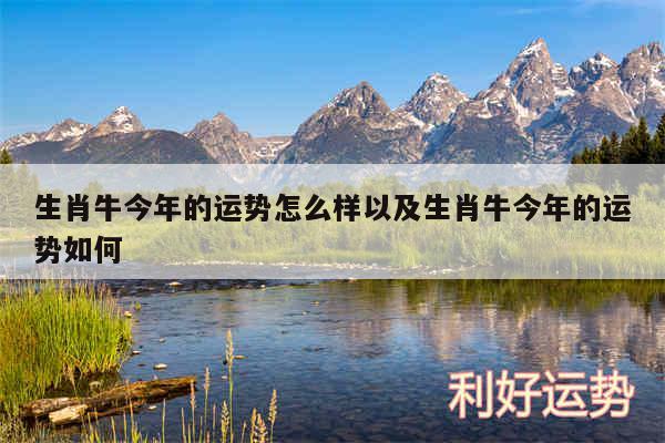 生肖牛今年的运势怎么样以及生肖牛今年的运势如何