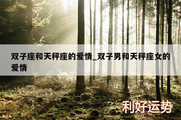 双子座和天秤座的爱情_双子男和天秤座女的爱情