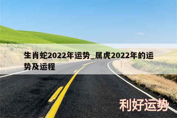 生肖蛇2024年运势_属虎2024年的运势及运程