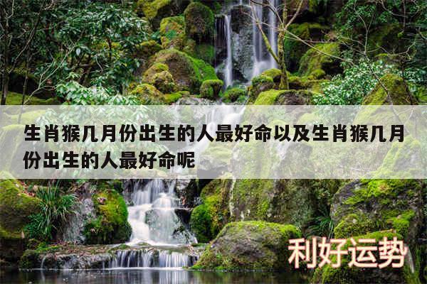 生肖猴几月份出生的人最好命以及生肖猴几月份出生的人最好命呢