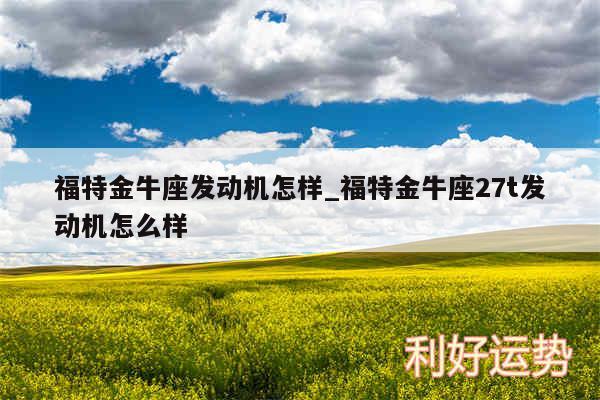 福特金牛座发动机怎样_福特金牛座27t发动机怎么样