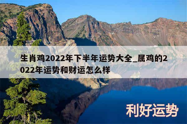 生肖鸡2024年下半年运势大全_属鸡的2024年运势和财运怎么样