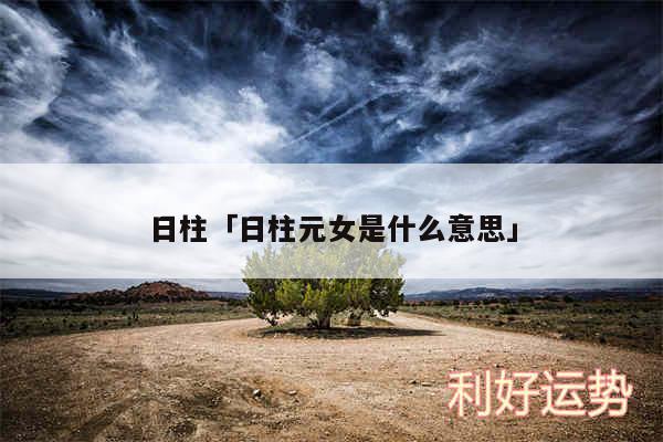 日柱及日柱元女是什么意思