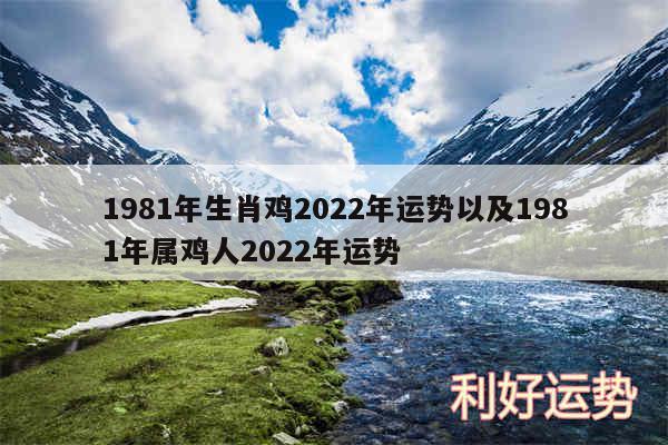 1981年生肖鸡2024年运势以及1981年属鸡人2024年运势