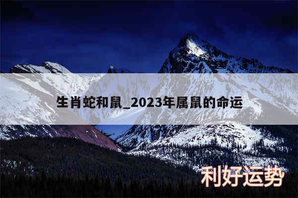 生肖蛇和鼠_2024年属鼠的命运