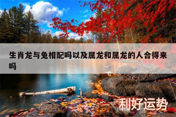 生肖龙与兔相配吗以及属龙和属龙的人合得来吗