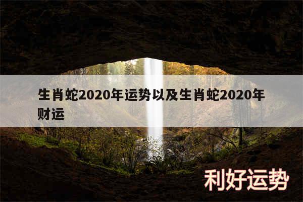 生肖蛇2020年运势以及生肖蛇2020年财运
