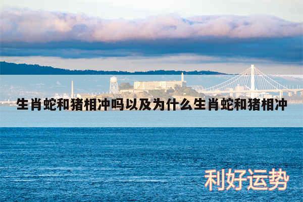生肖蛇和猪相冲吗以及为什么生肖蛇和猪相冲