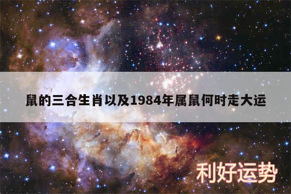 鼠的三合生肖以及1984年属鼠何时走大运