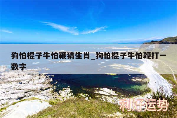 狗怕棍子牛怕鞭猜生肖_狗怕棍子牛怕鞭打一数字