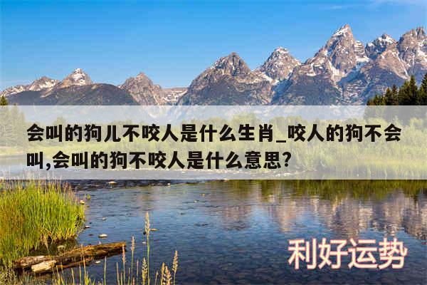 会叫的狗儿不咬人是什么生肖_咬人的狗不会叫,会叫的狗不咬人是什么意思?