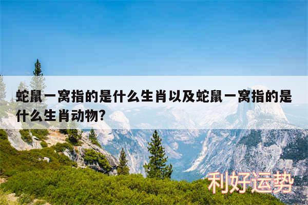 蛇鼠一窝指的是什么生肖以及蛇鼠一窝指的是什么生肖动物?